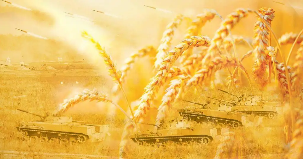 تقرير أمريكي: 4 خطوات دفعت الاقتصاد المصرى لإظهار مرونة كبيرة فى مواجهة صدمات أسعار القمح