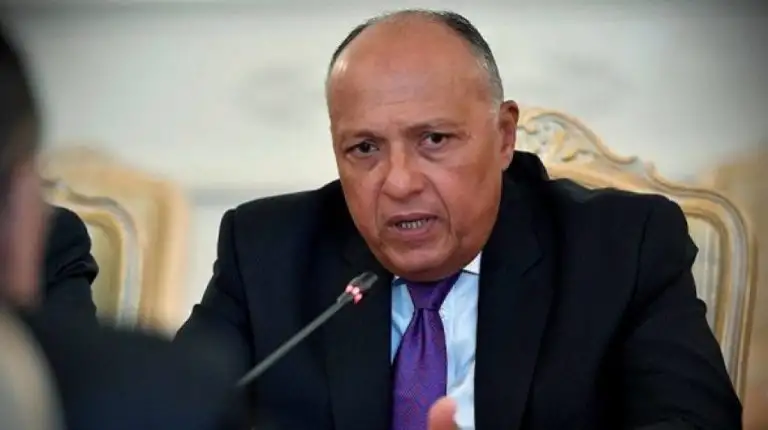 وزير الخارجية: نتطلع لتعزيز الاستثمارات البريطانية بمصر خاصة في مجال الاقتصاد الأخضر