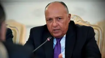 وزير الخارجية: نتطلع لتعزيز الاستثمارات البريطانية بمصر خاصة في مجال الاقتصاد الأخضر
