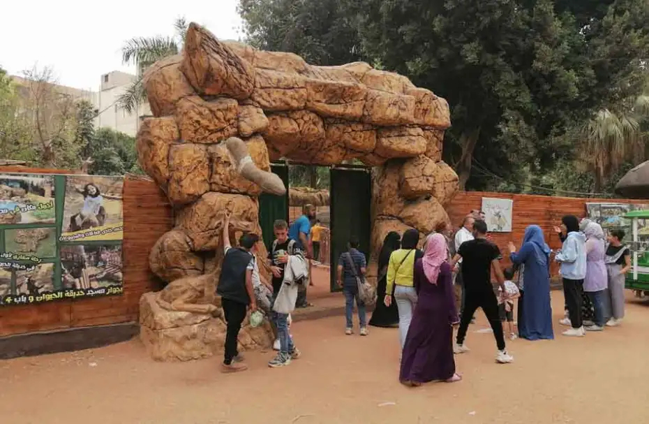 الزراعة: 25 ألف زائر بحديقة الحيوان و6500 رأس ماشية بالمجازر الحكومية