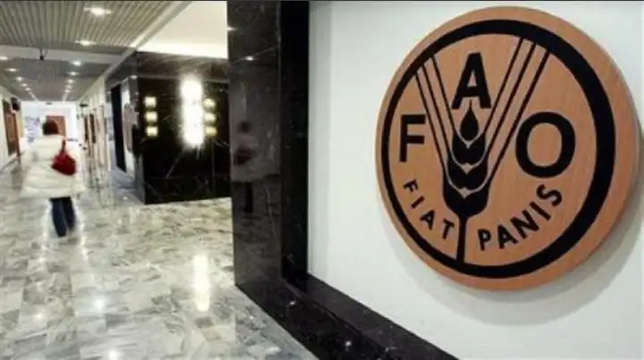 تقرير لمنظمة الفاو: صحة الحيوان مهمة للمساعدة في خفض انبعاثات غازات الاحتباس الحراري