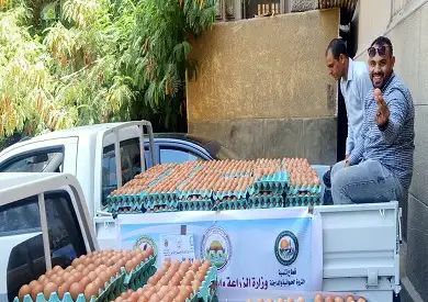 طرح كرتونة البيض بـ62 جنيها.. مسؤول بوزارة الزراعة: افتتاح منفذ خاص بالبيض قريبا
