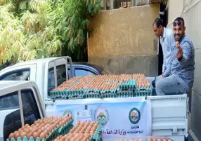 طرح كرتونة البيض بـ62 جنيها.. مسؤول بوزارة الزراعة: افتتاح منفذ خاص بالبيض قريبا