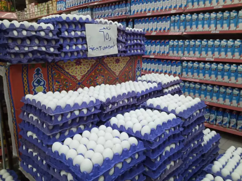 التموين تطرح كرتونة البيض بسعر 65 جنيها في المجمعات الاستهلاكية