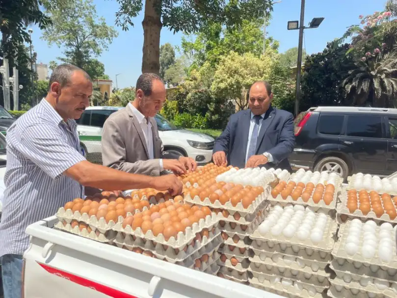 الزراعة تواصل طرح كميات من بيض المائدة بمنافذها الثابتة والمتحركة بسعر 58 جنيها للكرتونة