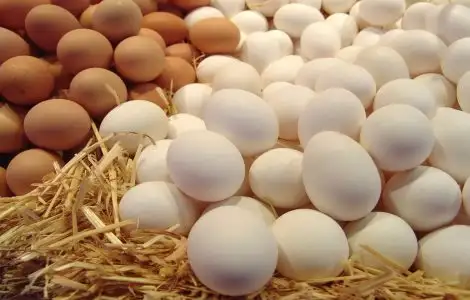 وزير التموين يوجه بتخفيض سعر طبق البيض بالمجمعات ‏الاستهلاكية إلى 62 جنيها
