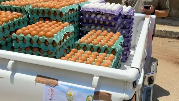 الطبق بـ58 جنيها.. مسؤول بالزراعة: ضخ كميات إضافية من بيض المائدة بأسعار مخفضة