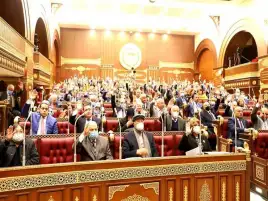 رئيس زراعة الشيوخ: توقعات برفع أسعار القطن العام الحالي