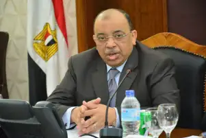 وزير التنمية المحلية: تمويل 209 مشروعات صغيرة ومتناهية الصغر فى 13 محافظة