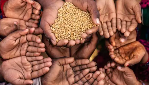 برنامج الغذاء العالمي: 40 مليار دولار سنويًا تكلفة القضاء على الجوع بحلول 2030