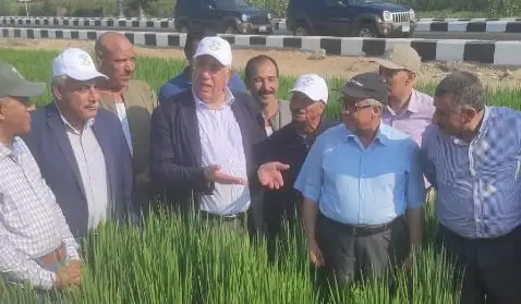 وزير الزراعة يتفقد حقلا إرشاديا لصنف الأرز الجديد سوبر 300 بالغربية