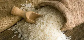 غدا.. بدء توريد الأرز الشعير من المزارعين لوزارة التموين