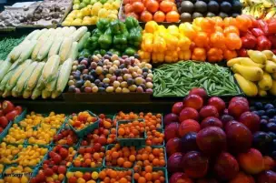 صادرات الحاصلات الزراعية المصرية إلى الإمارات تسجل 124 مليون دولار في 11 شهرا