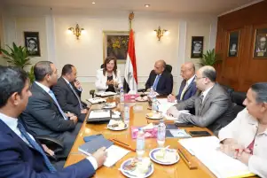 وزيرا قطاع الأعمال والتخطيط يبحثان الترويج لبعض الفرص الاستثمارية بالشركات التابعة