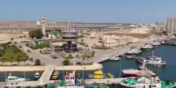 النقل: محطة حاويات ميناء دمياط استطاعت جذب أكبر الخطوط الملاحية العالمية قبل الانتهاء منها
