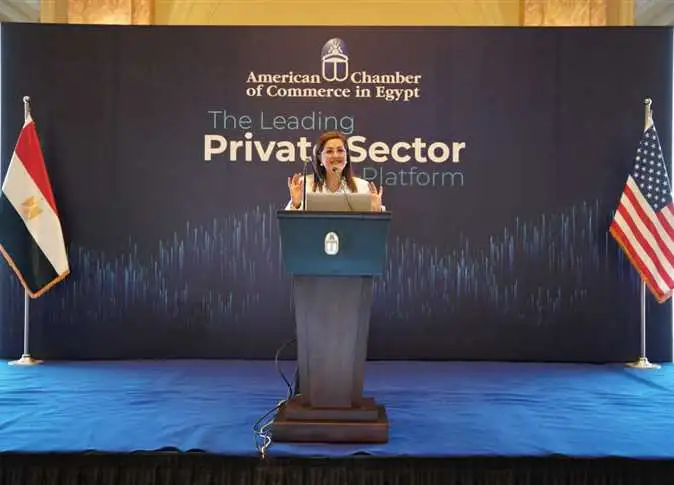 السعيد: رؤية مصر لمؤتمر المناخ تهدف إلى ضمان التنفيذ الفعال للتحول الأخضر في العالم سريعا