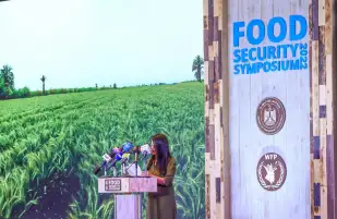 المشاط: الحكومة تبذل جهودا كبيرة لتعزيز الأمن الغذائي وتلبية احتياجات المواطنين