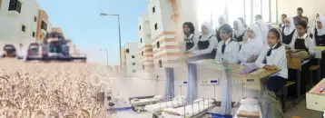 البنك الدولى يوصى بإدارة مخاطر استيراد القمح وزيادة مخصصات الصحة
