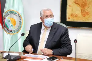 وزير الزراعة: تغير كبير في أداء الدولة المصرية بملفات الأمن الغذائي