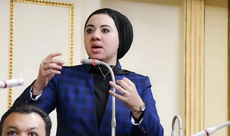 أميرة صابر.. البرلمانية العربية الوحيدة في الأسبوع الأوروبي للطاقة المستدامة