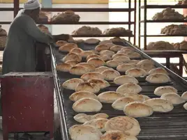 التموين تحدد أسعار الخبز السياحي والفينو للحاصلين على طن الدقيق بـ10 آلاف جنيه