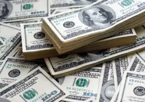 تذبذب أسعار الدولار بالبنوك بعد تحرير سعر الصرف يربك المصنعين والتجار