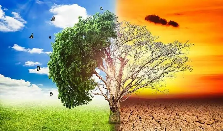الاستراتيجية الوطنية| مصر تهدف لإنجاح برامج تمويل الأنشطة المناخية بدراسة مشروعاتها