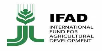 بنوك التنمية متعددة الأطراف تؤكد التزامها بزيادة التمويل للتخفيف من تغير المناخ
