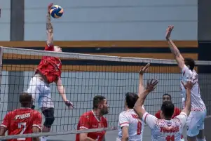 السبت .. إجراء قرعة كأس مصر للكرة الطائرة