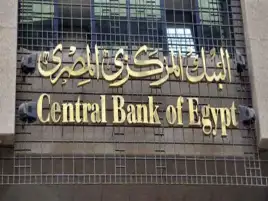 البنك المركزي يعين تامر وحيد عضو مجلس إدارة غير تنفيذي بالبنك العربي الإفريقي