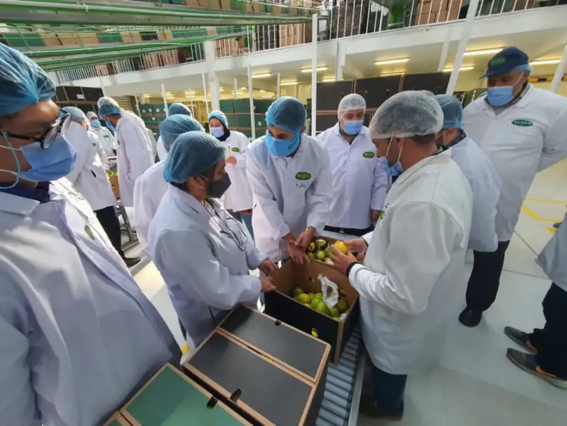 وزير الزراعة يعلن فتح السوق الفلبيني أمام الصادرات الزراعية المصرية للمرة الأولى
