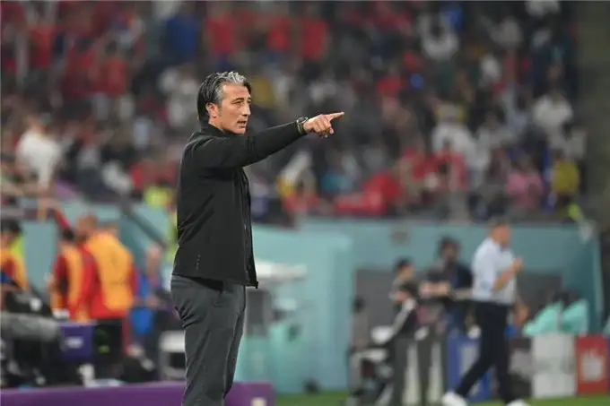 مدرب سويسرا بعد الهزيمة أمام البرتغال: منافسنا كان الأفضل ولم نقدم البداية المطلوبة