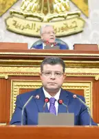 رئيس اقتصادية النواب: تعديلات الإجراءات الضريبية لا تمس سرية الحسابات المصرفية