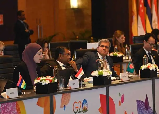 التخطيط تستعرض مبادرة حياة كريمة في اجتماع مجموعة العشرين بالهند