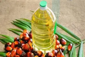تراجع سعر زيت النخيل بسبب المخاوف من انخفاض الطلب نتيجة تزايد إصابات فيروس كورونا في الصين