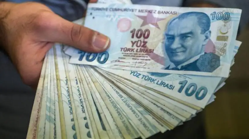 تركيا تخطط لزيادة الودائع بالعملة المحلية وتنويع المدخرات بعيدا عن الدولار