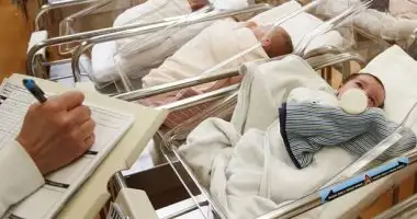 الإحصاء: 5 محافظات بالوجه البحري تسجل أقل عدد من المواليد في 2022