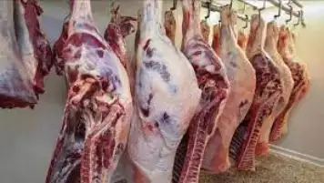 سعر اللحوم في السوق اليوم السبت 7 يناير 2023
