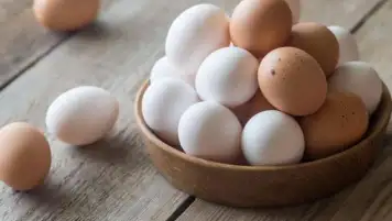 أمين اتحاد الغرف التجارية: سعر طبق البيض في معارض أهلا رمضان 72 جنيها