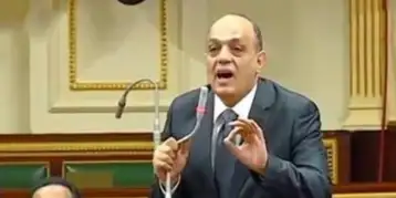 النائب محمد مرعي: سنعرض البرنامج الزمني لمنحة الـ3 ملايين يورو على النواب