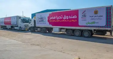 طرح 800 كرتونة تحيا مصر معبأة بالمواد الغذائية بنصف الثمن للمواطنين بالشرقية