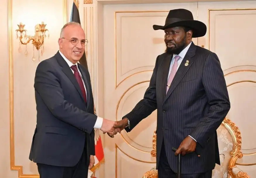 وزير الري ينقل رسالة من السيسي إلى رئيس جنوب السودان: أكد عمق العلاقات