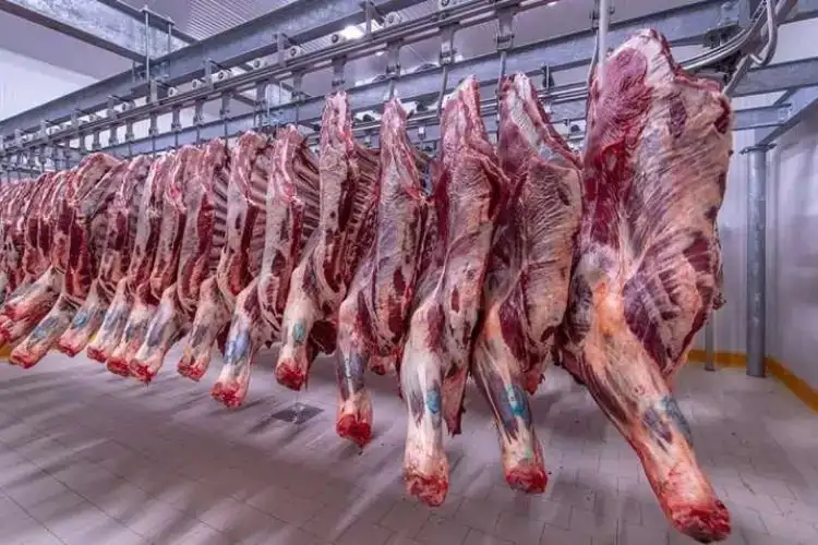 الزراعة: الزيادة المبررة لأسعار اللحوم والدواجن تحافظ على الصناعة