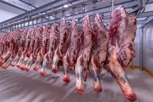 الزراعة: الزيادة المبررة لأسعار اللحوم والدواجن تحافظ على الصناعة