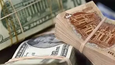 غرفة السياحة: قرار منع تعامل الشركات مع العملاء بالعملة الأجنبية عجيب