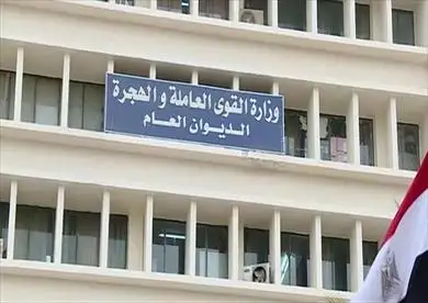 وزير القوى العاملة: سنساند كل الجهود التي تخدم الشباب في القطاع الصناعي