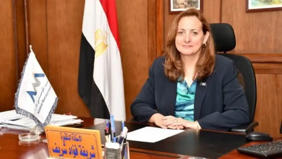التخطيط تؤكد أهمية الحوكمة لتنفيذ أهداف رؤية مصر 2030
