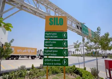 منتجات طبيعية.. كواليس صناعة الحلاوة الطحينية بمجمع سايلو فودز