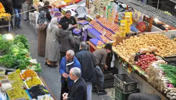 الزراعة: افتتاح 83 سوقا جديدا وهناك أكثر من 350 منتجا يصل إلى 160 دولة