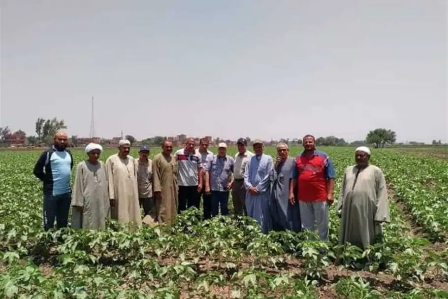 معهد المحاصيل الحقلية: المزارع هو الشريك الأساسي لتأمين الأمن الغذائي للدولة